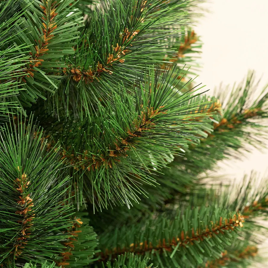 Un Lit Christmas Trees Archives - Portland Fir